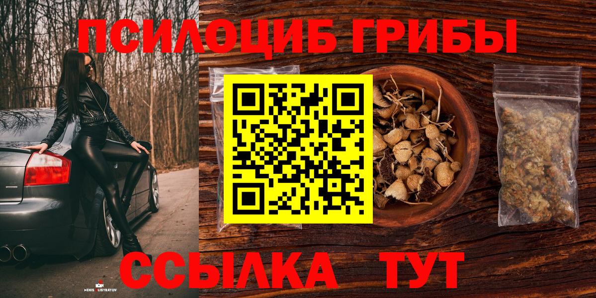 Галлюциногенные грибы прущие грибы  как найти закладки  Богданович  Вход с VPN 